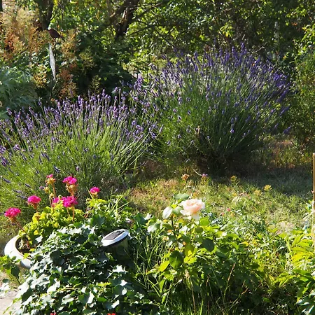 Heure Bleue Prázdninový dům