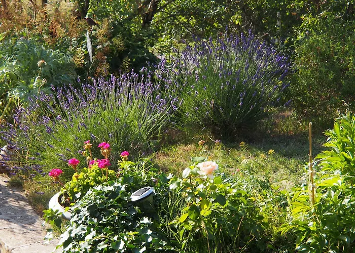 Heure Bleue Holiday home